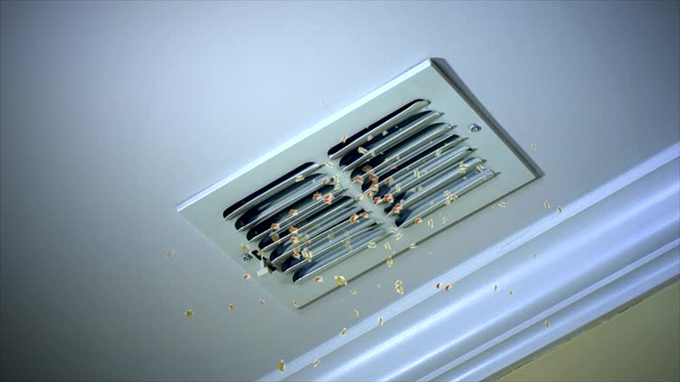 HVAC System Cleaning in Eagle River, WI